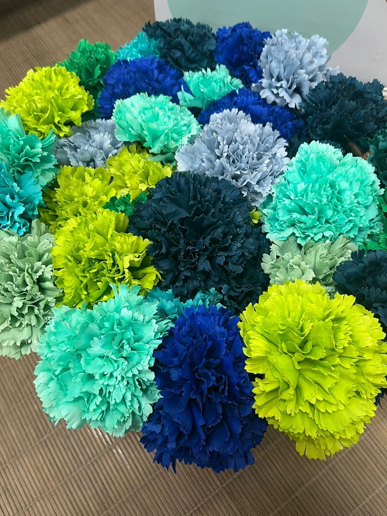 CLAVELES GRANDES TONOS AZULES Y VERDES (VERDE EMPOLVADO)